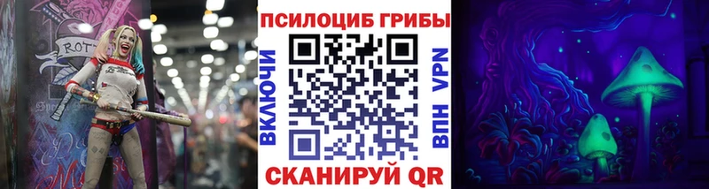 Купить где  Константиновск  Галлюциногенные грибы Psilocybe 